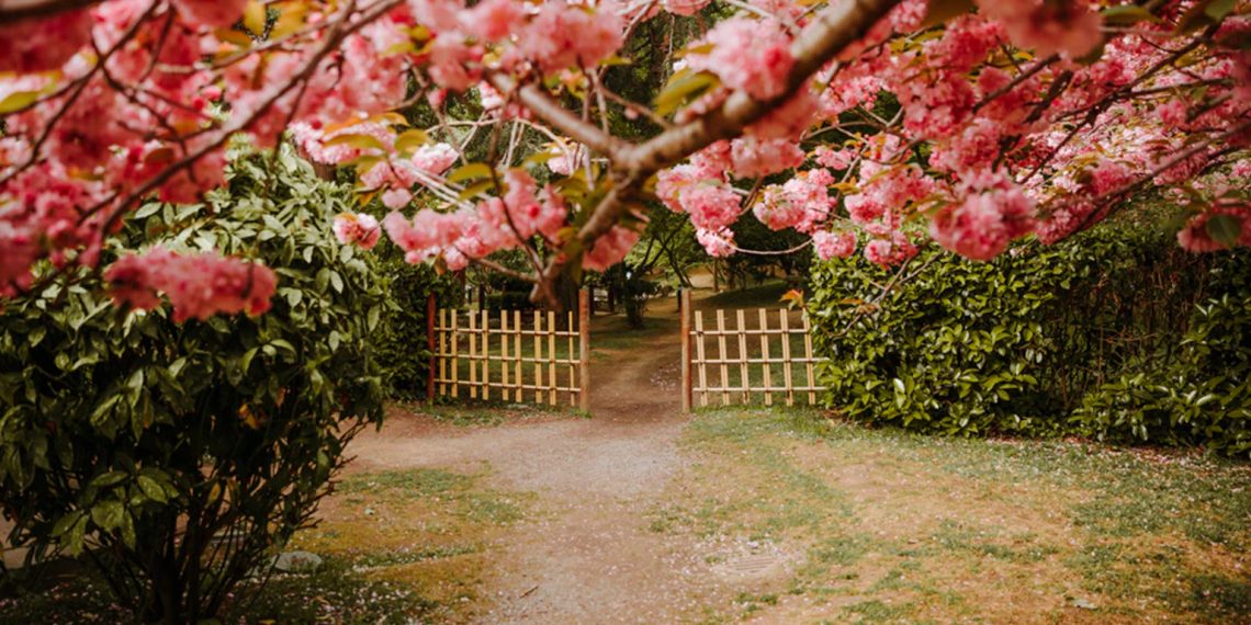 Baltalimanı Japon Bahçesi