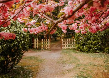 Baltalimanı Japon Bahçesi