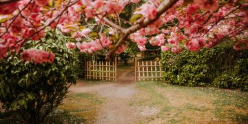 Baltalimanı Japon Bahçesi