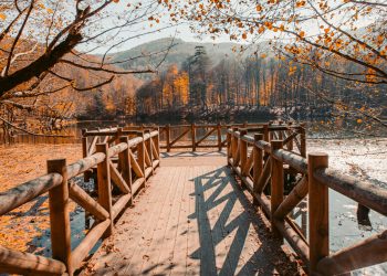 Yedigöller Milli Parkı