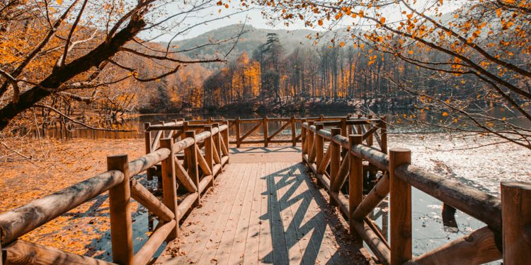 Yedigöller Milli Parkı